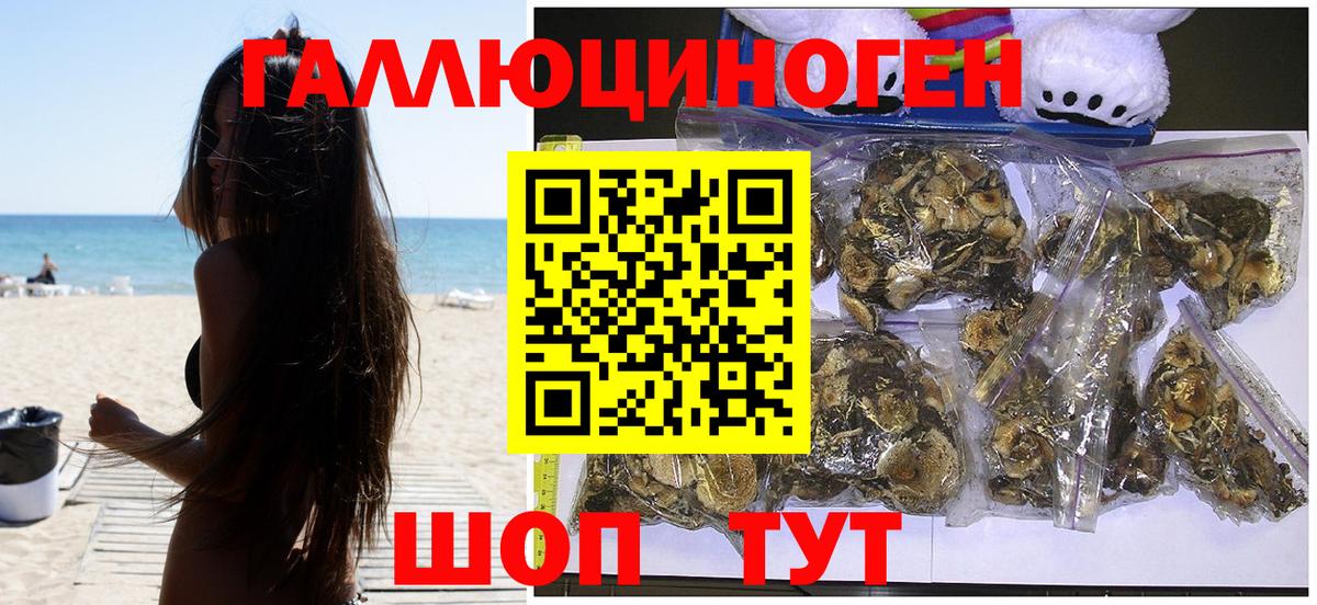 Псилоцибиновые грибы ЛСД  Вход с VPN  Псилоцибиновые грибы Psilocybe  Ирбит 