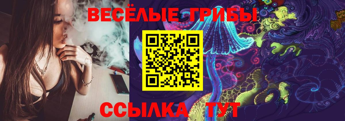 Псилоцибиновые грибы мицелий Ирбит
